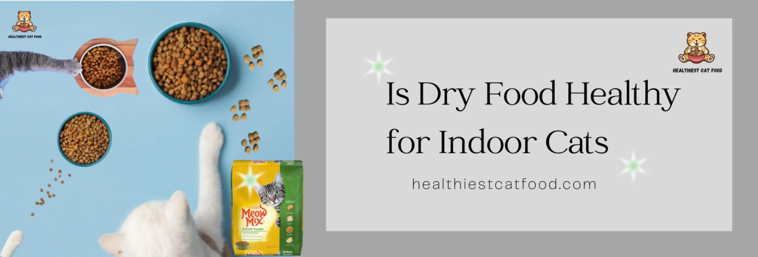 Is Dry Food Healthy for Indoor Cats | Healthiest Cat Food