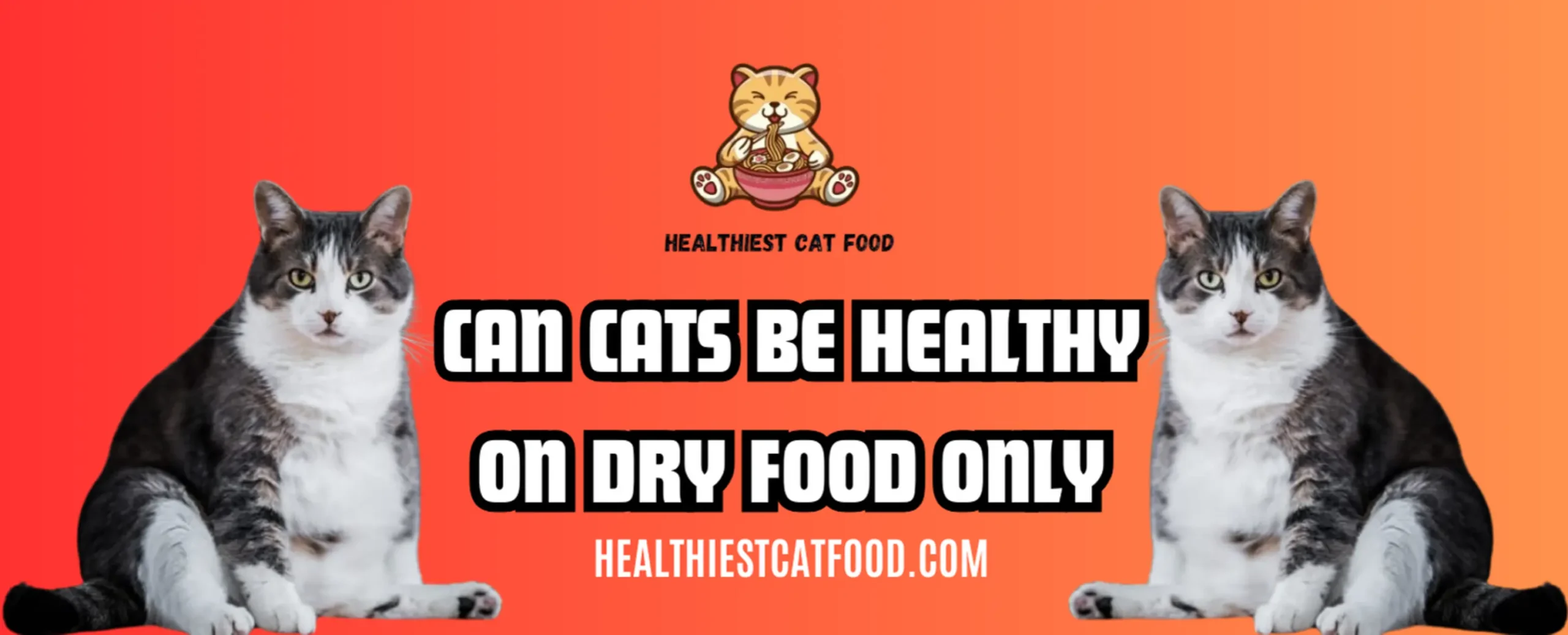 Can Cats Be Healthy on Dry Food Only | Healthiest Cat Food