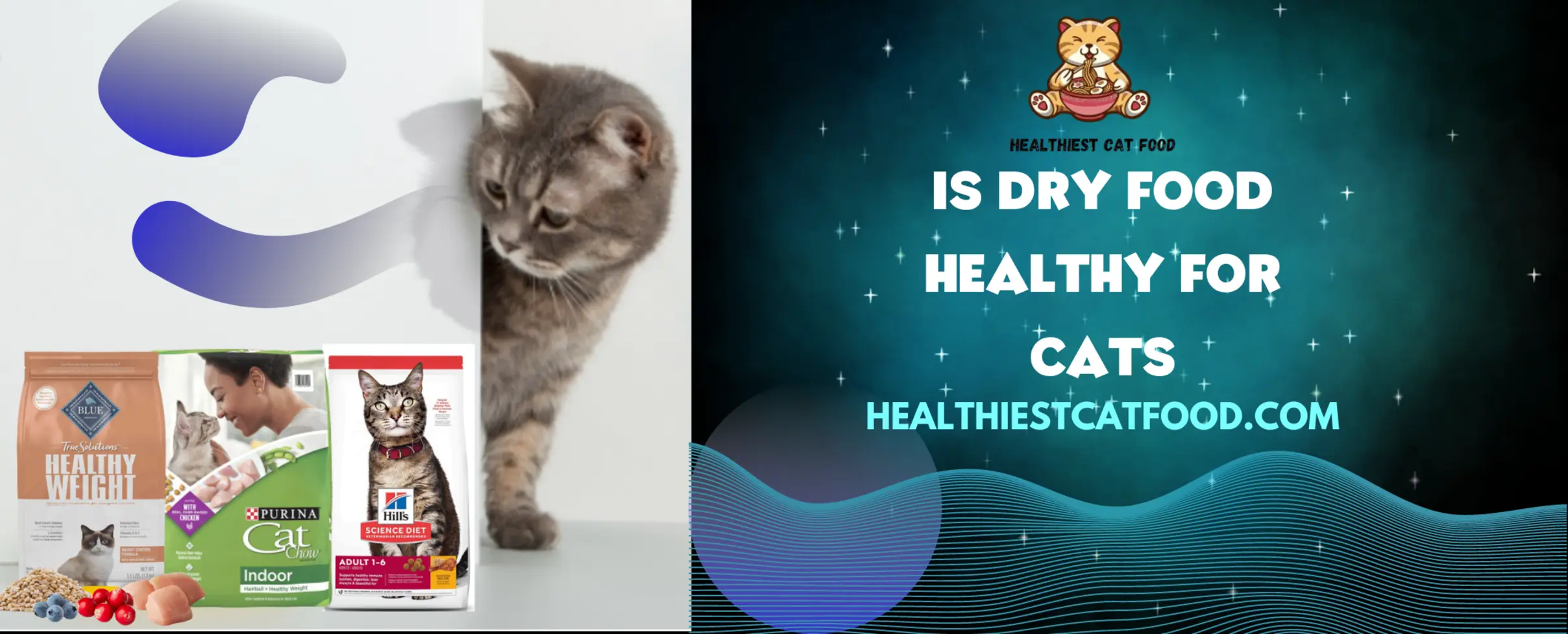 Is Dry Food Healthy for Cats | Healthiest Cat Food