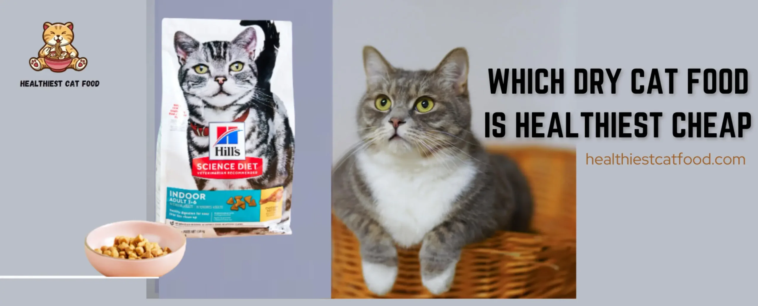 Which Dry Cat Food is Healthiest Cheap | Healthiest Cat Food