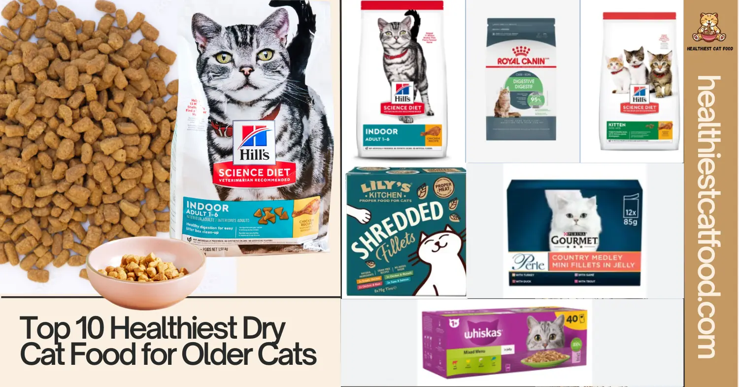 Top 10 Healthiest Dry Cat Food for Older Cats | Healthiest Cat Food