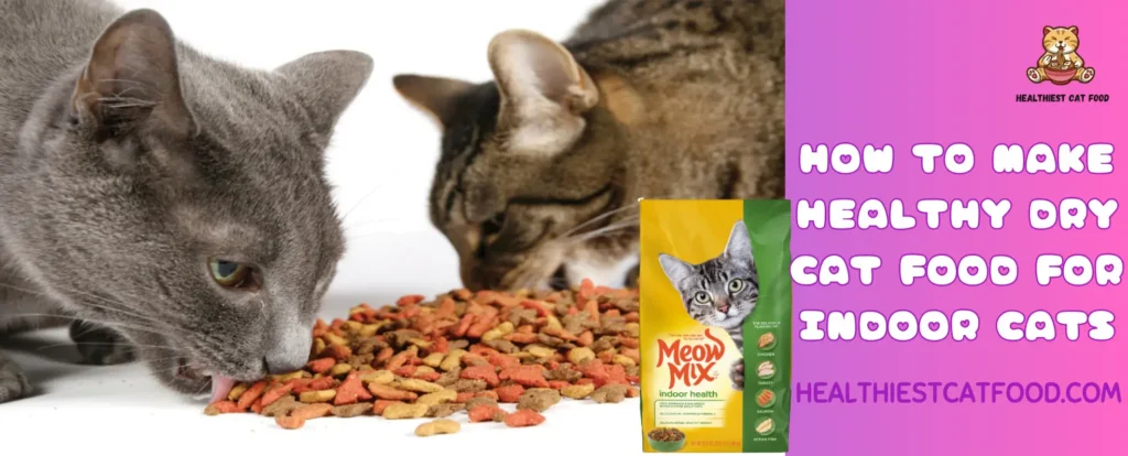 How to Make Healthy Dry Cat Food for Indoor Cats | Healthiest Cat Food