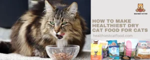 How to Make Healthiest Dry Cat Food for Cats | Healthiest Cat Food