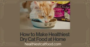 How to Make Healthiest Dry Cat Food at Home | Healthiest Cat Food