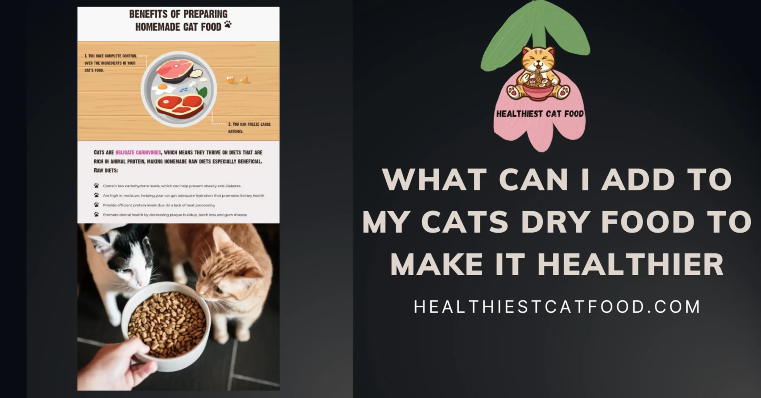 What Can I Add to My Cats Dry Food to Make It Healthier | Healthiest Cat Food