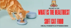 What is the Healthiest Soft Cat Food | Healthiest Cat Food