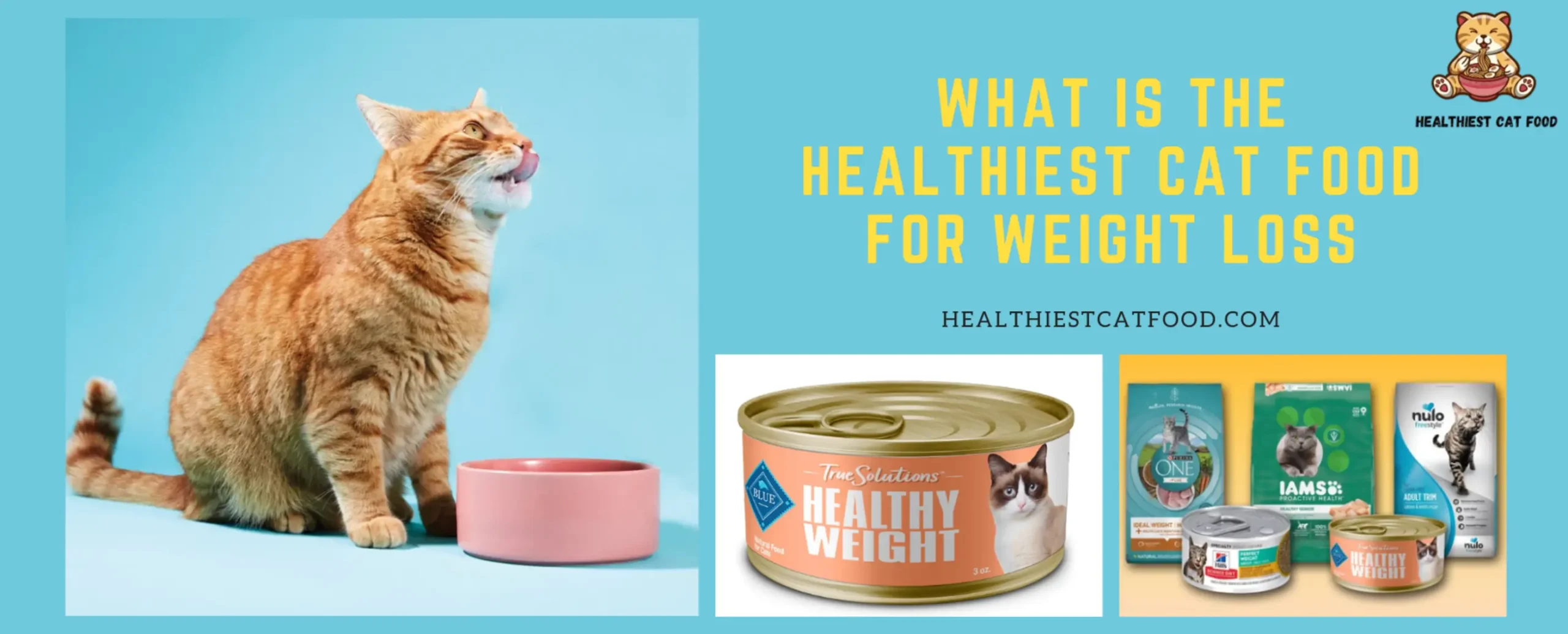 What is the Healthiest Cat Food for Weight Loss | Healthiest Cat Food