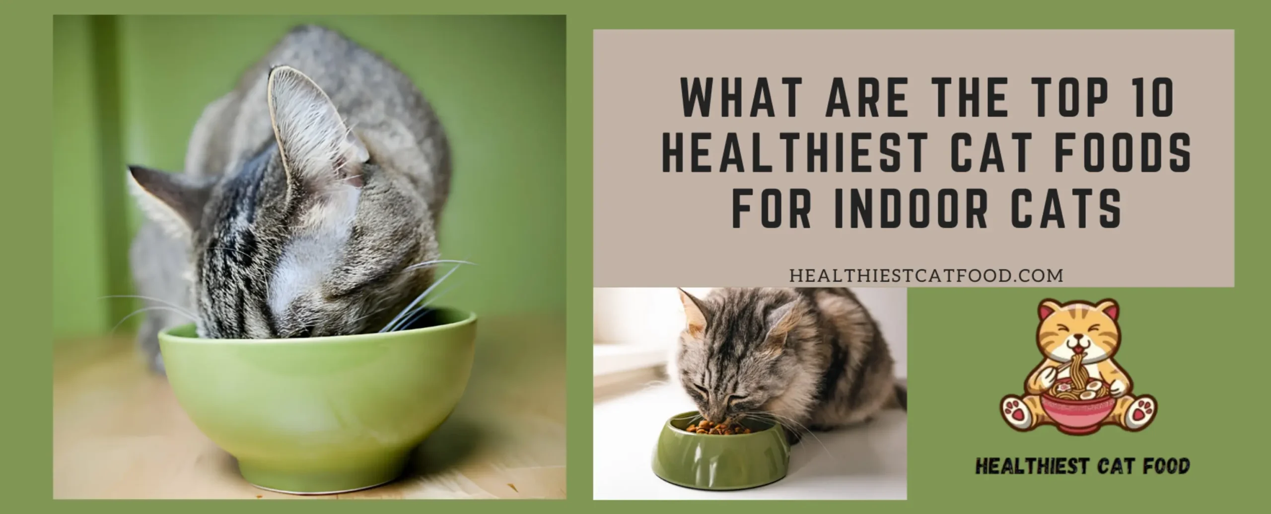 What are the Top 10 Healthiest Cat Foods for Indoor Cats | Healthiest Cat Food