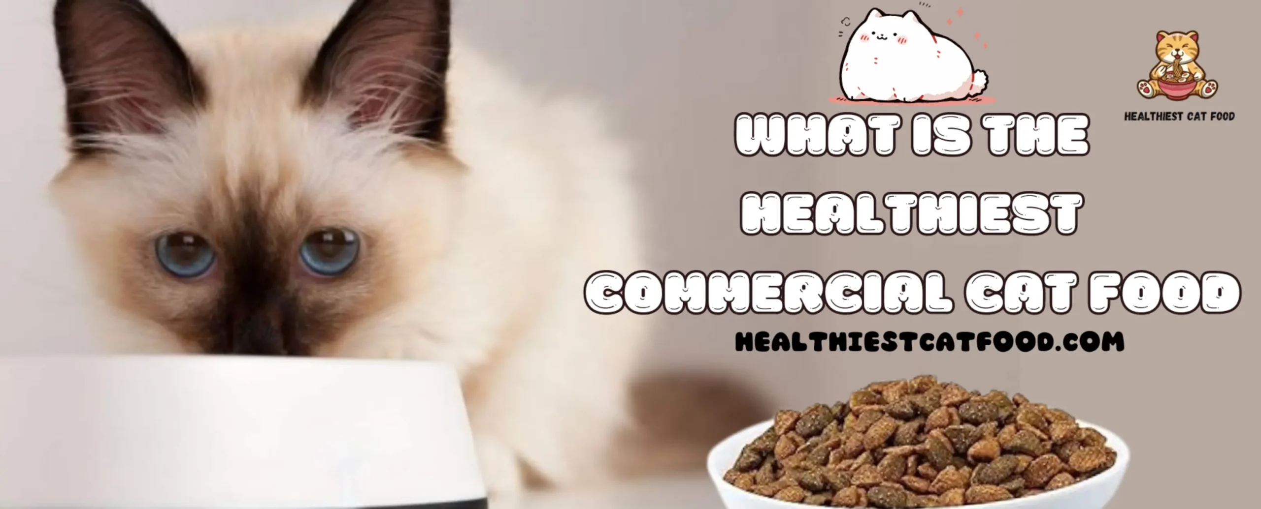 What is the Healthiest Commercial Cat Food | Healthiest Cat Food