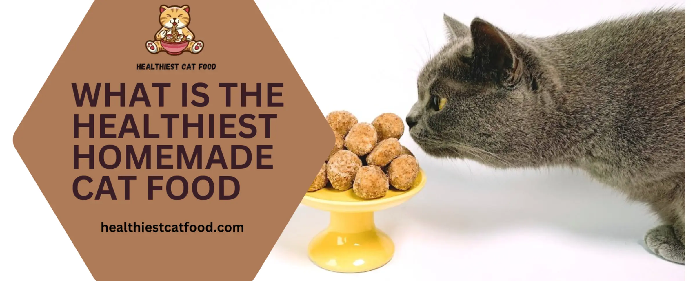 What is the Healthiest Homemade Cat Food | Healthiest Cat Food