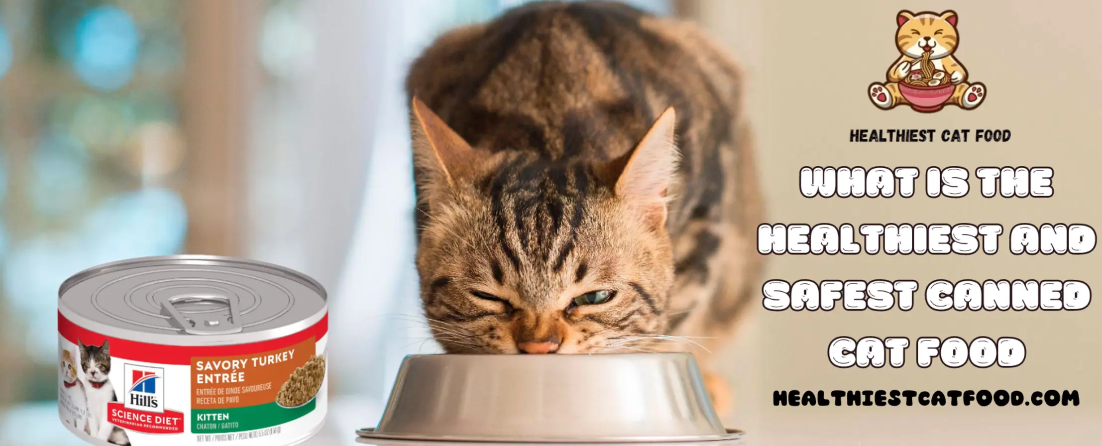 What is the Healthiest And Safest Canned Cat Food | Healthiest Cat Food