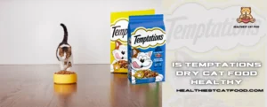 Is Temptations Dry Cat Food Healthy | Healthiest Cat Food